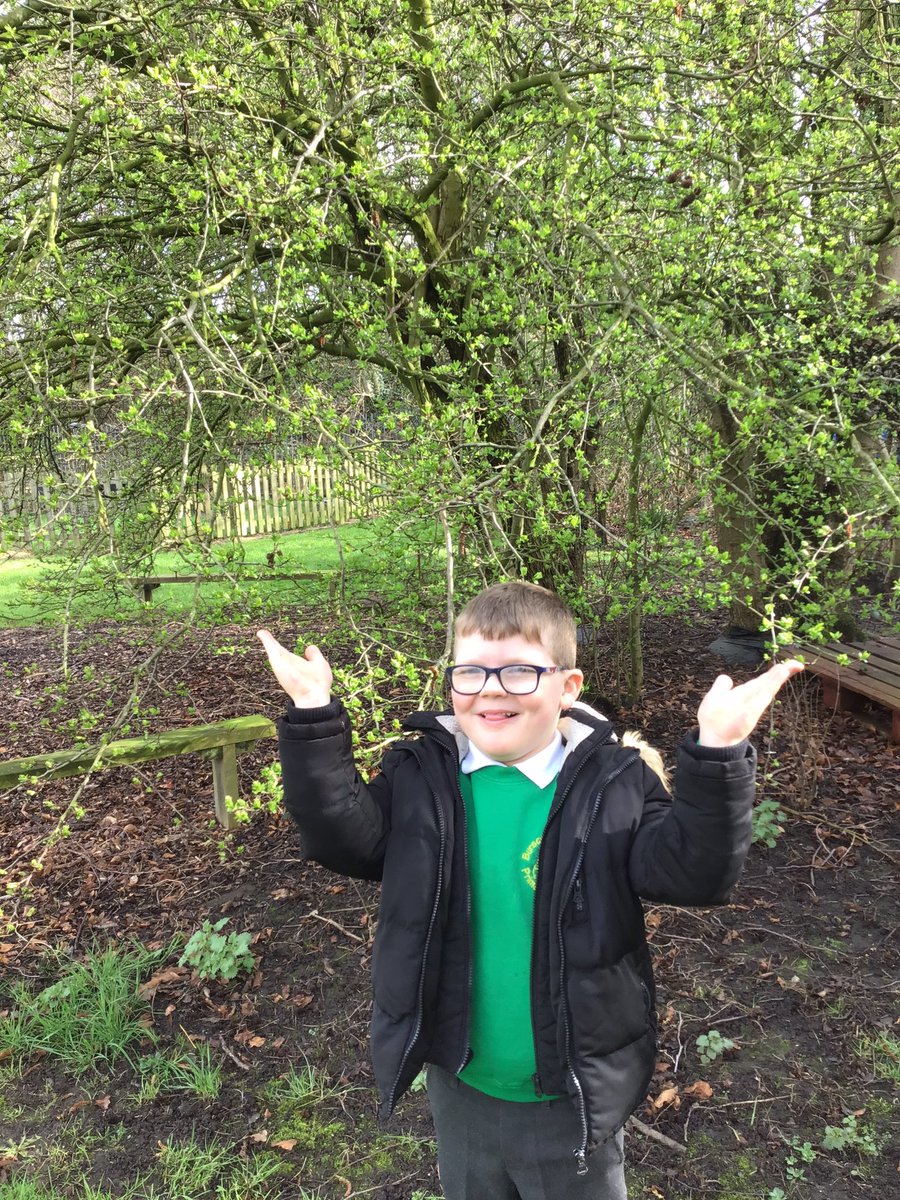 BVPSRecp's tweet photo. We went on a spring hunt and captured our own photos. #bvpseyfs #bvpscomputing #bvpsscience https://t.co/hSHvLIf8zf
