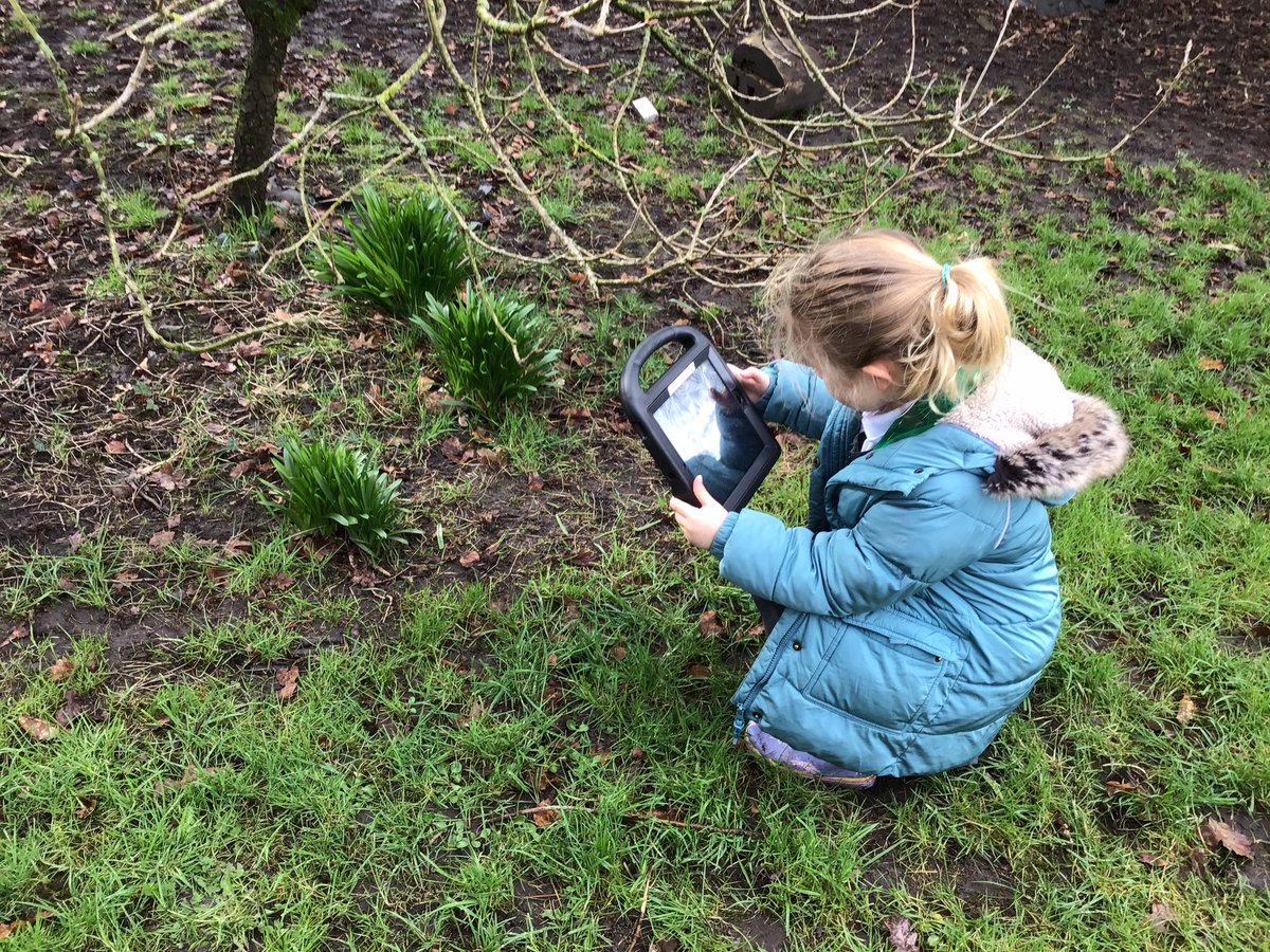 BVPSRecp's tweet photo. We went on a spring hunt and captured our own photos. #bvpseyfs #bvpscomputing #bvpsscience https://t.co/hSHvLIf8zf