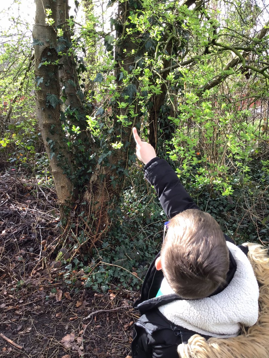 BVPSRecp's tweet photo. We went on a spring hunt and captured our own photos. #bvpseyfs #bvpscomputing #bvpsscience https://t.co/o3jXjr9FrF