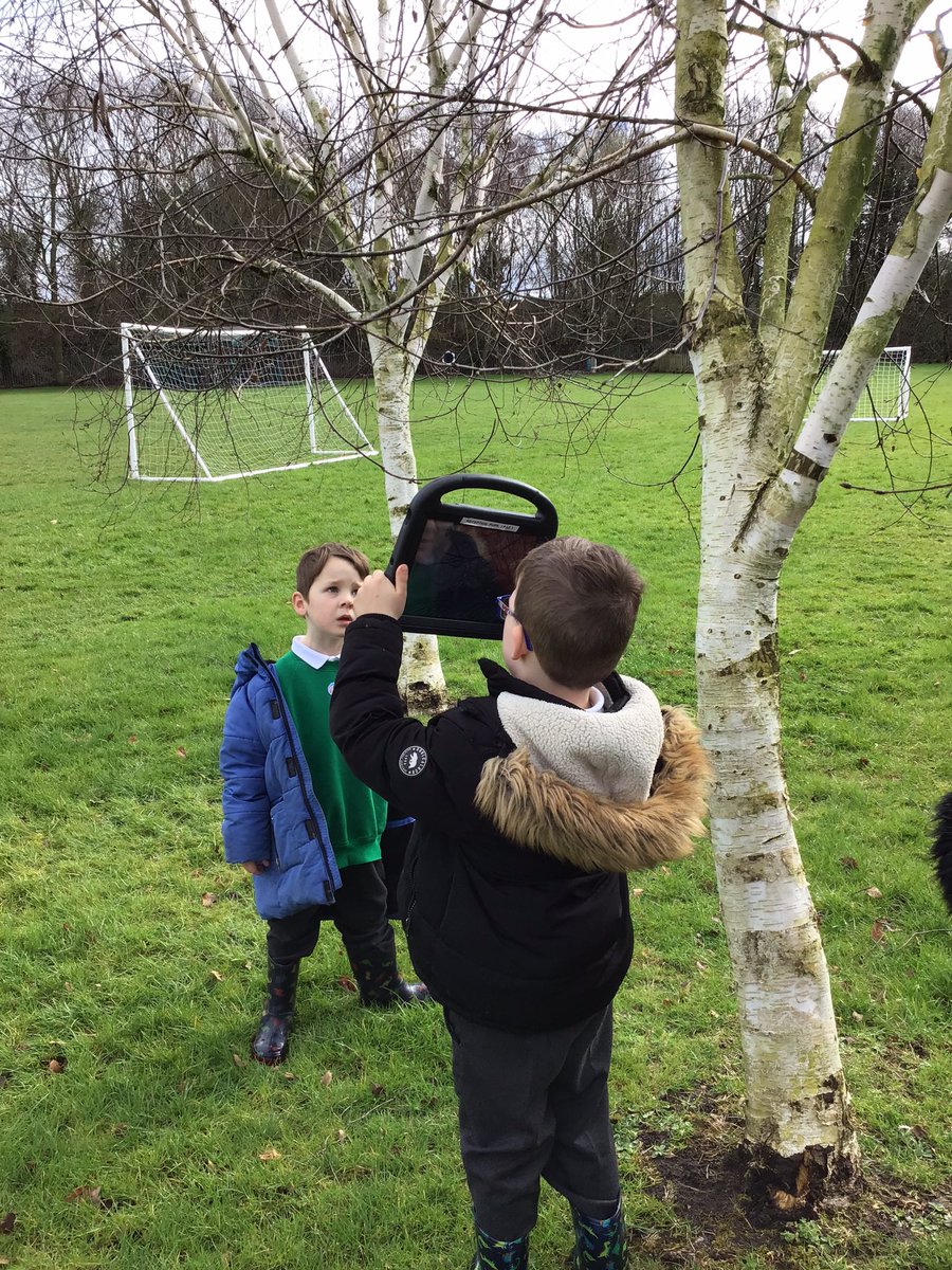 BVPSRecp's tweet photo. We went on a spring hunt and captured our own photos. #bvpseyfs #bvpscomputing #bvpsscience https://t.co/o3jXjr9FrF