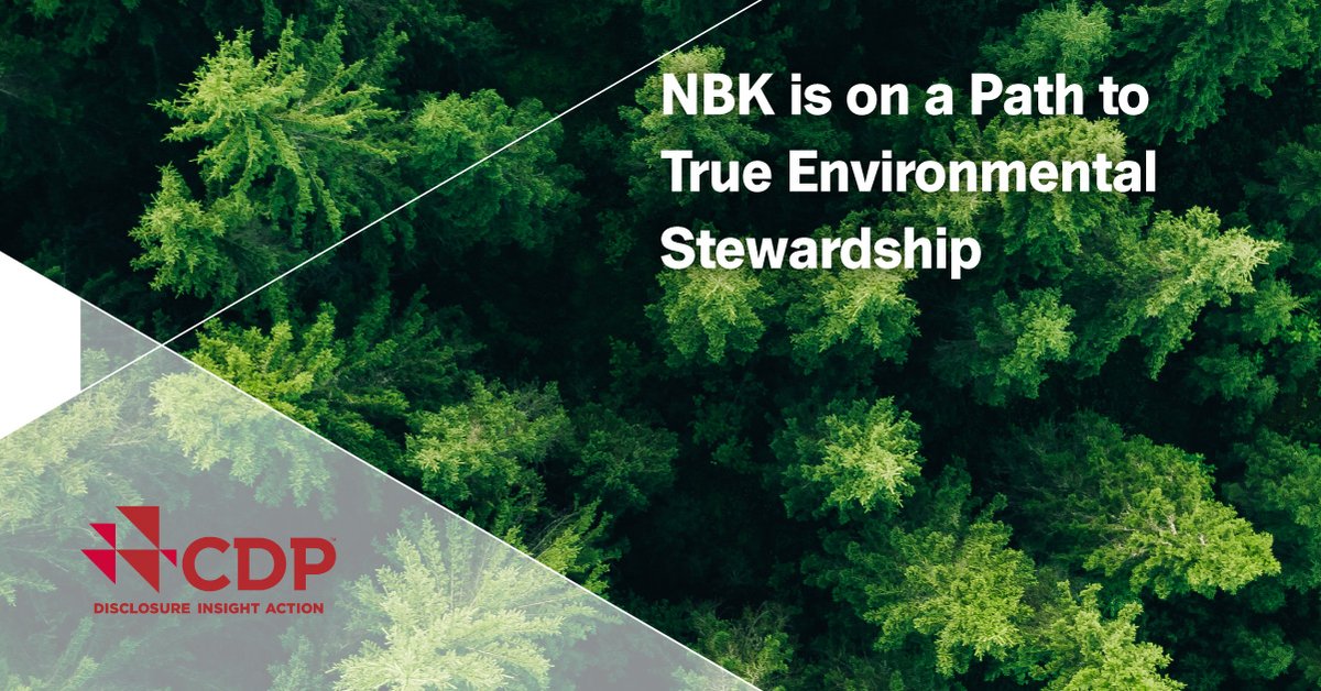 NBKPage's tweet photo. On the International Day of Forests, NBK is proud to be among 18,700+ companies that have committed to environmental transparency through @CDP in 2022, receiving a score of ‘C’ for both the Climate Change and Forests Categories. #DisclosureWorks
#NBKSustainbility https://t.co/LA3z2QVqgq