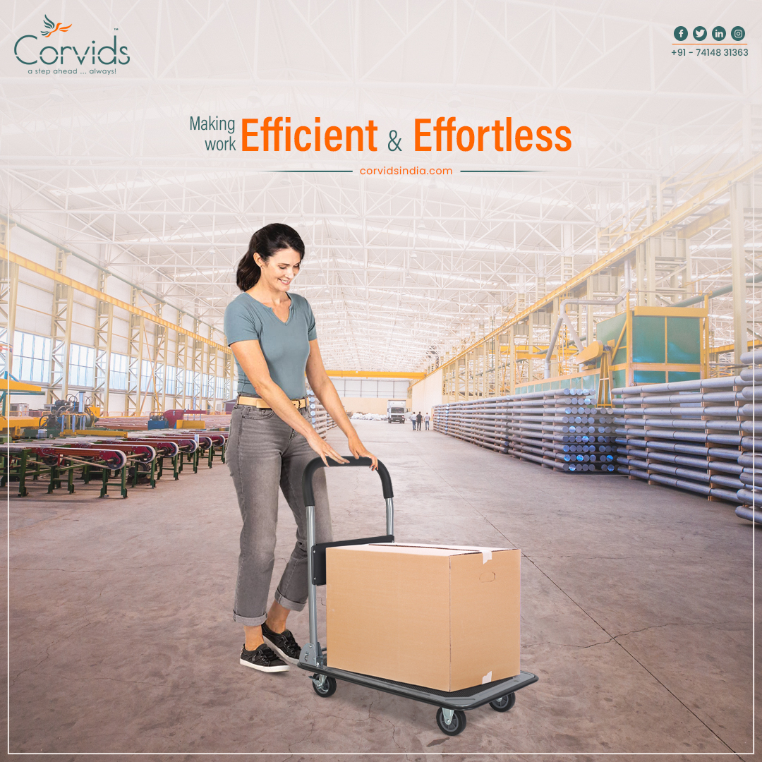 CorvidsIndia's tweet photo. Are you tired of struggling with heavy loads at work? Look no further than Corvids hand trolley - your ultimate solution for efficient and effortless transportation of heavy items. Get yours now!

#HandTrolley #FreeDelivery #LimitedTimeOffer #HandTruck  #Corvids #CorvidsIndia https://t.co/Se6eJvrTkm