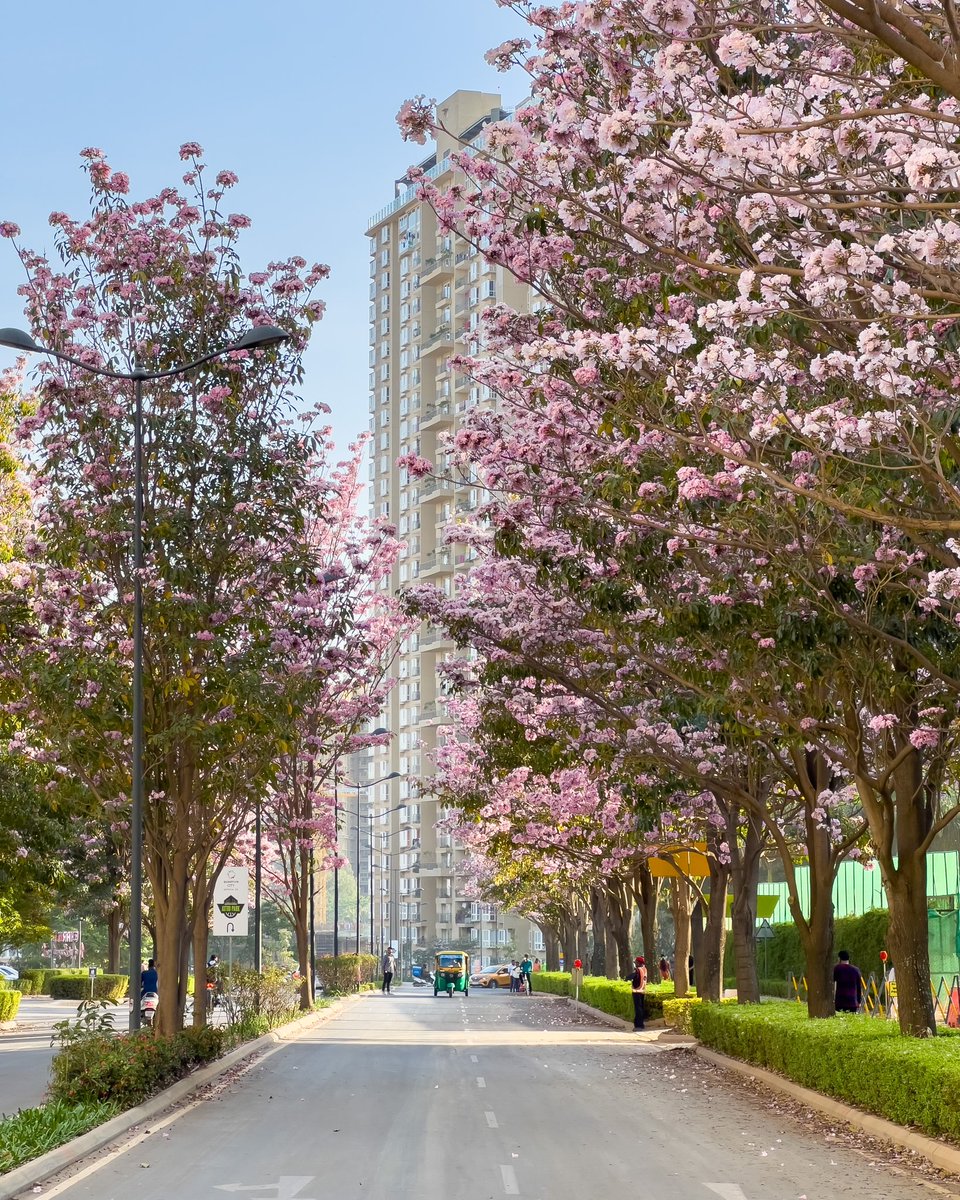 atulpinheiro's tweet image. Guys. 🥲♥️ .@peakbengaluru 
#PinkBangalore