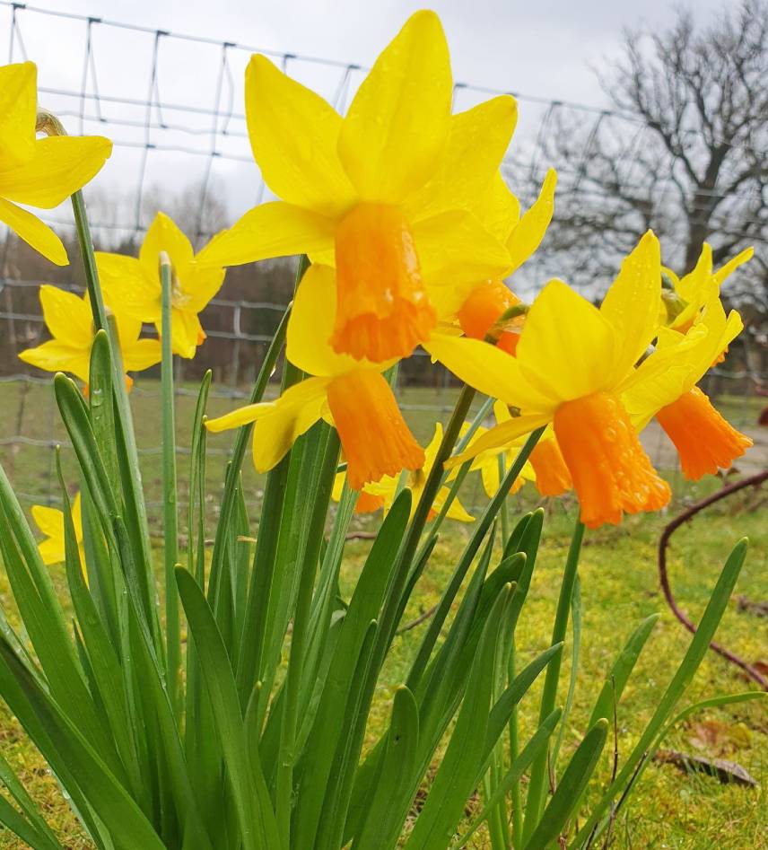 MemorialBenches's tweet image. @wealdenbenches Spring has finally arrived and it's time to make the most of your outdoor space!
Our teak garden benches are the perfect addition to your patio, garden or backyard.

#SpringArrival #TeakGardenBench #OutdoorLiving #GardenBenches #GardenFurniture #ComfortableSeating