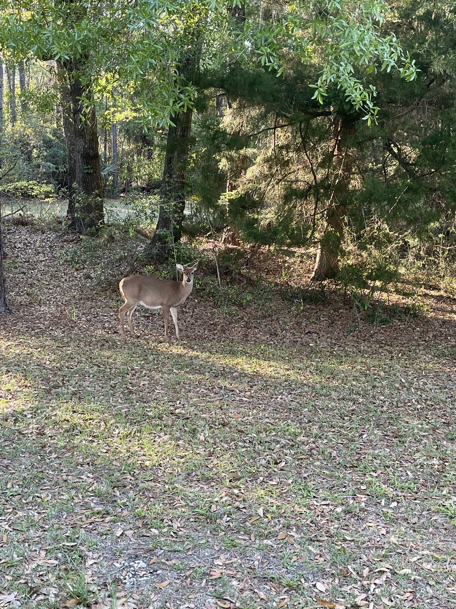 Great turnout for The NFGCSA Glen Klauk Research Tournament.
