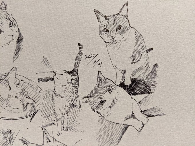 今日職場ではWBCを観ていた記憶しかない カキカキ。 