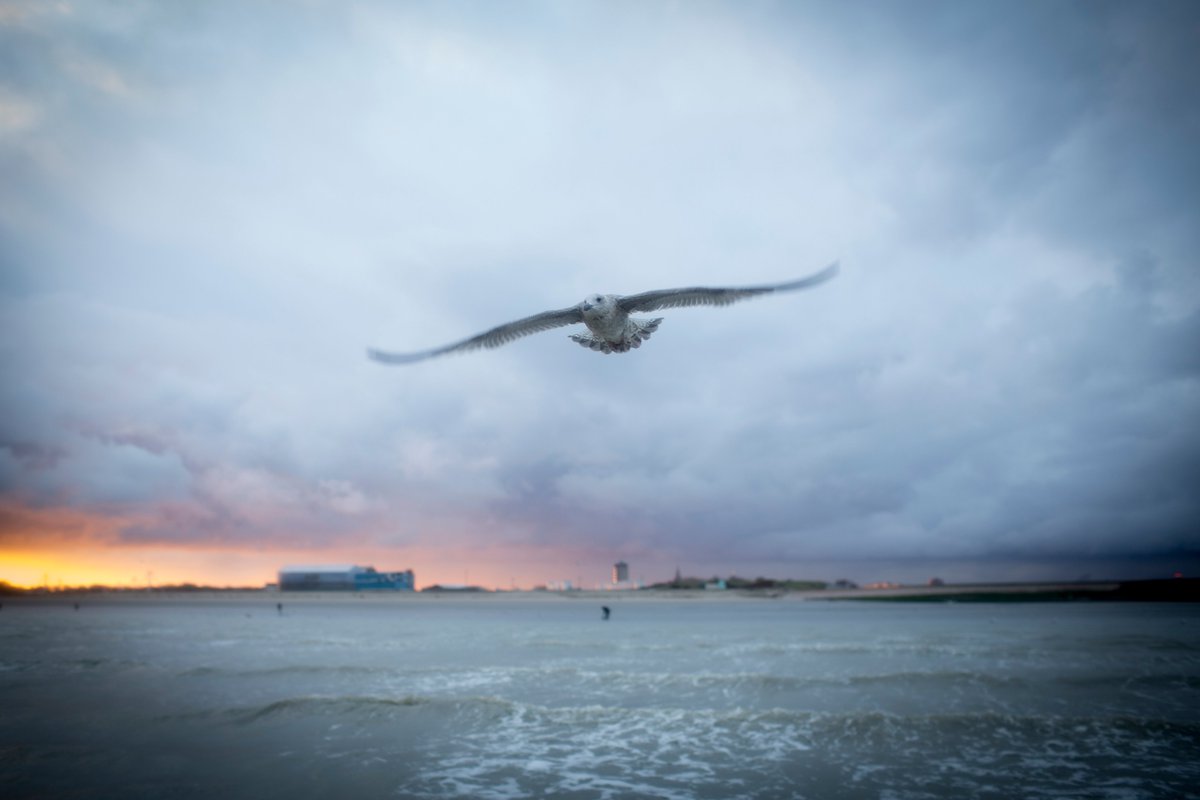 JulienBrygo's tweet photo. Les temps sont durs. Pour sortir la tête de l’eau, je vends des tirages photographiques. Si vous souhaitez soutenir mon travail, voici le lien pour commander des tirages photographiques originaux. https://t.co/zJycKbosUZ https://t.co/vNA58SmtkO