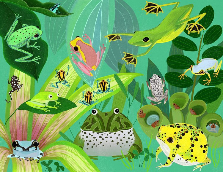 Yesterday was #worldFrogDay!