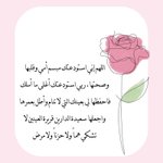 Photo by Lujain Al Ubaid (@LujainUbaid)