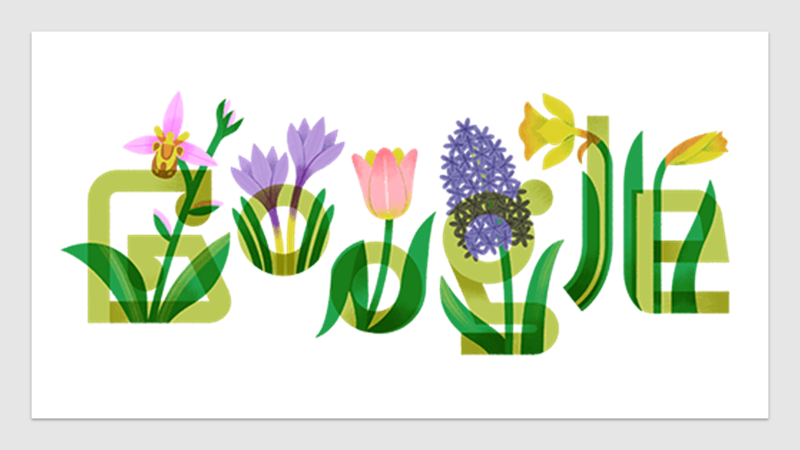 IUCN Orchid Specialist Group tweet media