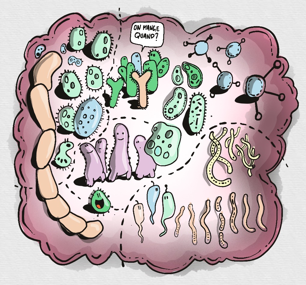 Demain à la #gribouilleacademie on parle de la création d'un Sketchnote sur le microbiote ... meetup.com/fr-FR/gribouil…