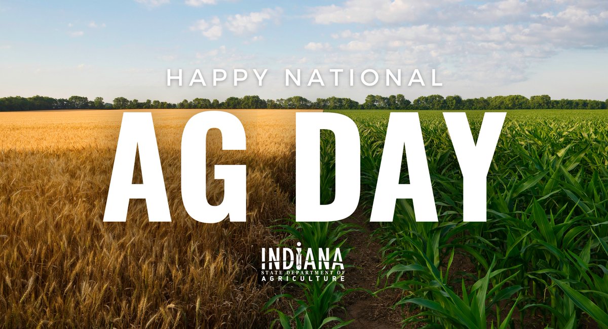 ISDAgov's tweet photo. Happy #NationalAgDay! Today we celebrate Indiana's 94,000 a-MAIZE-ing farmers and agriculturists who help insure Indiana continues to nationally rank:

🥇 Duck &amp; hardwood veneer
🥈 Popcorn &amp; eggs
🥉 Tomatoes, spearmint &amp; cover crops

Find more ag stats → https://t.co/Lkc650Rm2D https://t.co/wNtNY4LRxc