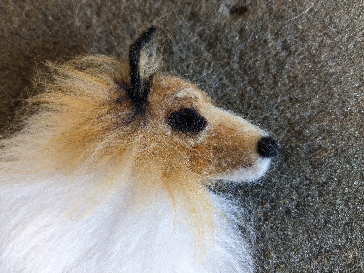 Working on a #Roughcollie this morning. Just need to stitch on the backing, stuff and stitch in the eye. Apparently only 500 puppies were registered in 2022 and only 49 #smoothcollies which are the short coated version of the breed, making both in real danger of extinction.