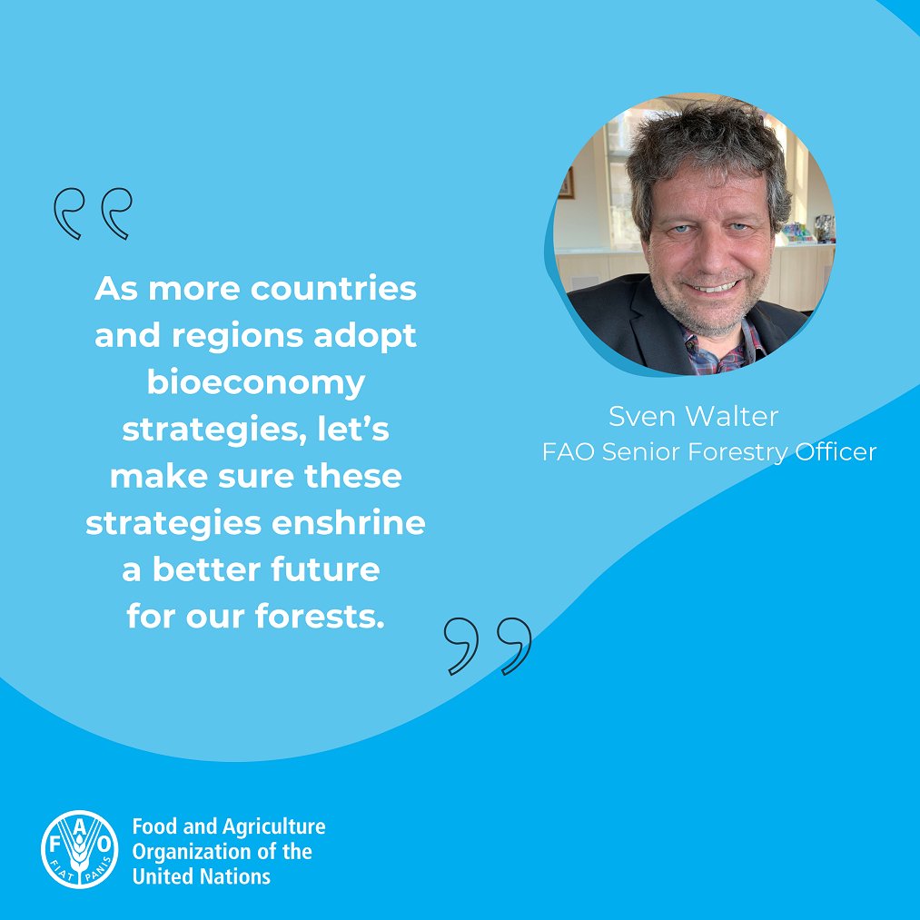 “Forestry is a concrete entry point to the world of sustainable #bioeconomy.” Read @FAO’s interview with Senior Forestry Officer Sven Walter 👉bityl.co/HlOQ #IntlForestDay