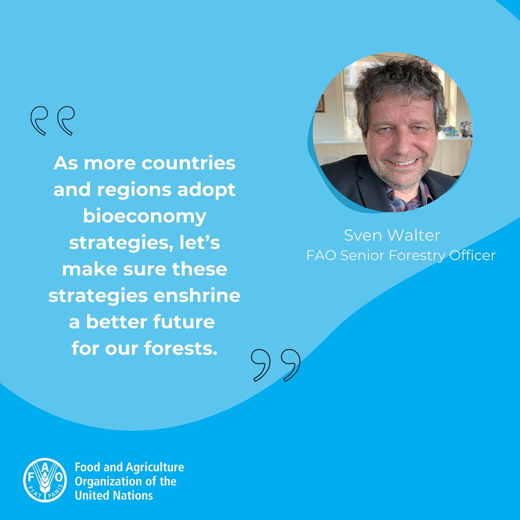 “Forestry is a concrete entry point to the world of sustainable #bioeconomy.”

Read <a href="/FAO/">Food and Agriculture Organization</a>’s interview with Senior Forestry Officer Sven Walter 

👉bityl.co/HlOQ 

#IntlForestDay