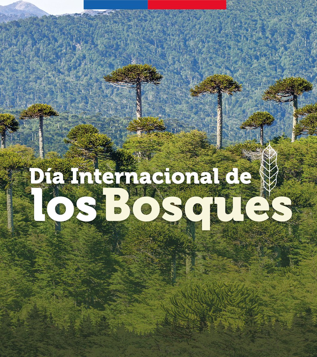 Ministerio del Medio Ambiente tweet media