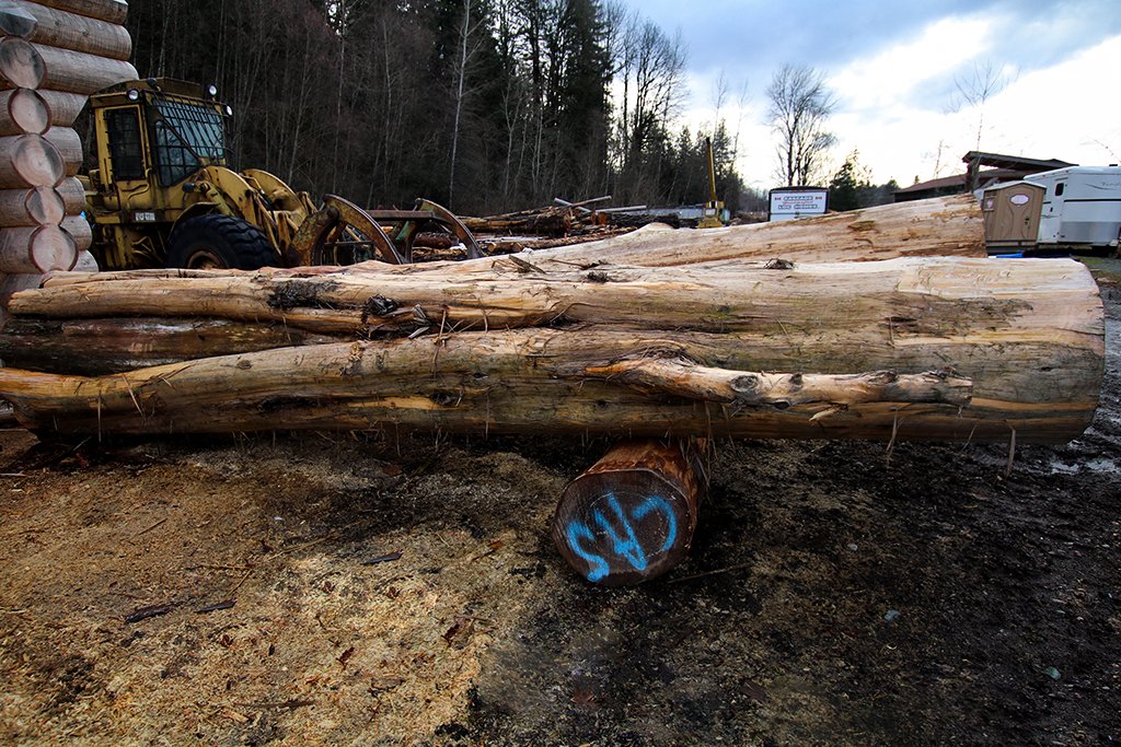 BCLogHomes's tweet photo. Getting set to build a heavy ranch gate out of these Western redcedar logs. The natural shaping that occurred during the tree's growth will create a notably unique gate!
#ranchgates #farmgate #welcomegate #gates #fencing #gate #fence #gardengate #entrygatedesign https://t.co/jdkLT2XbY4