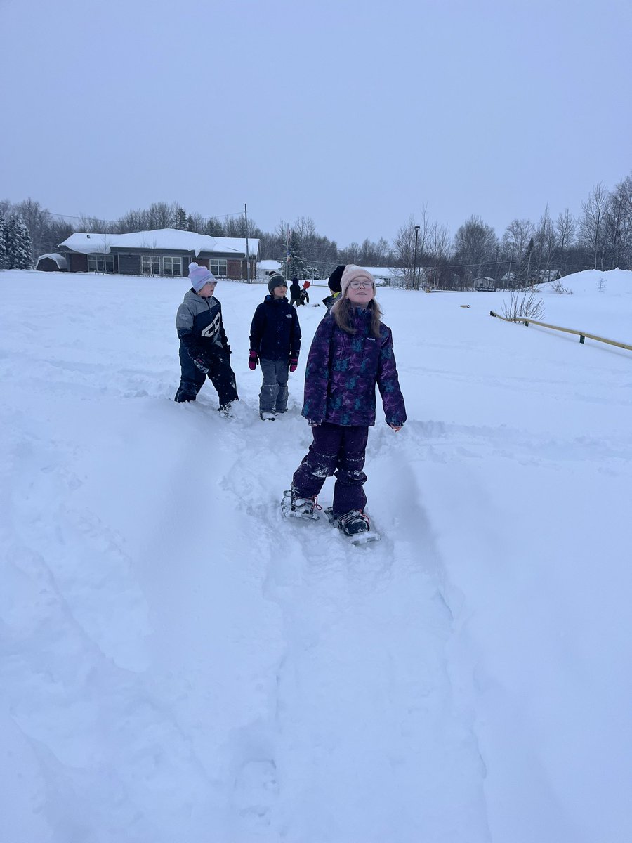 Kasondra Perrier tweet media