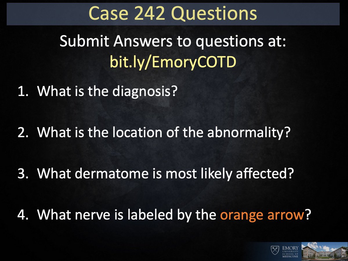 Ryan B Peterson 🇸🇪 tweet media