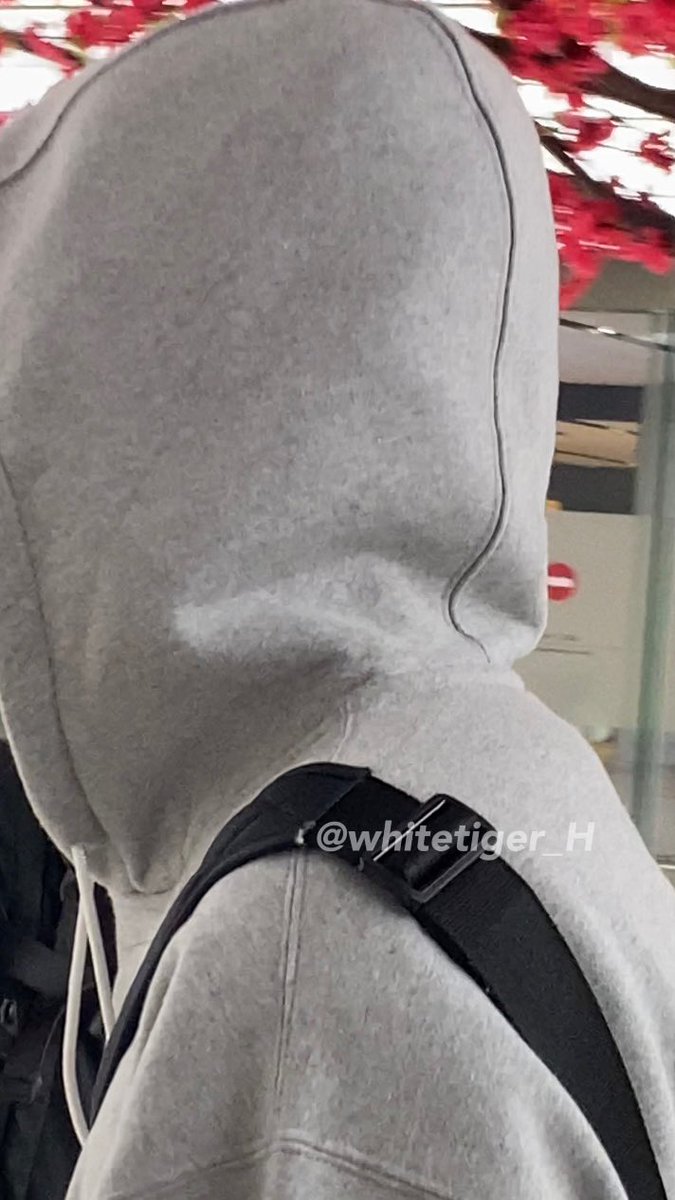 WhiteTiger_H's tweet photo. 230321 
GMP도착
🥰🐶 https://t.co/y3hHi3jtve