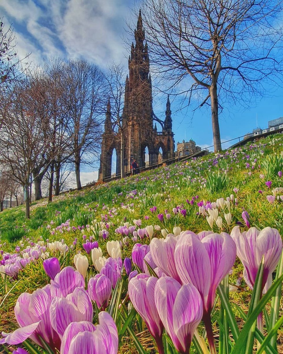 VisitScotland's tweet photo. It's #WorldPoetryDay! 📚 Here's a beautiful shot of one of the largest monuments dedicated to a writer in the world! 🌸😍

📍Scott Monument, @edinburgh 📸IG/idle2ideal #TalesofScotland #UNESCOtrail https://t.co/vTZKyLIH0E