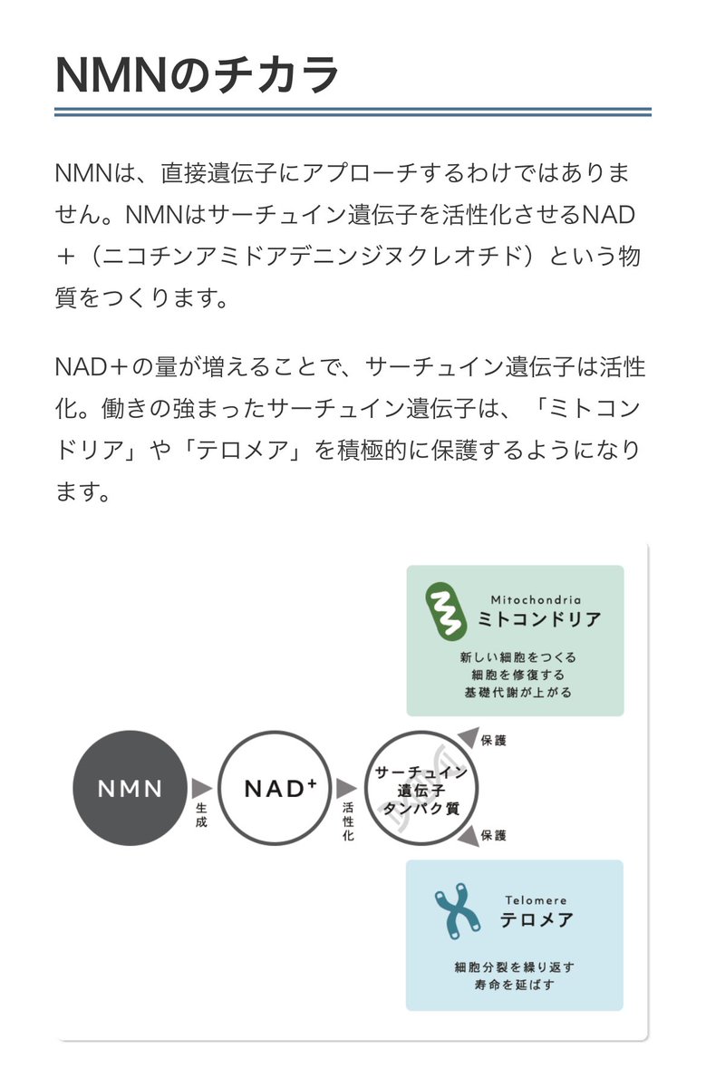risarose1225's tweet photo. アンチエイジングで若返りたい人30代から特に摂取して欲しい成分NMN(ニコチンアミドモノヌクレオチド)。加齢に伴いNMNが作るエネルギーNAD+が減少し老化が早くなる。疲れ・細胞修復機能の低下・肌の衰えなど。体内のミトコンドリアを増やし抗老化サーチュイン遺伝子を呼び覚ますことで老化を若化に。 https://t.co/9lbXqMI3lu