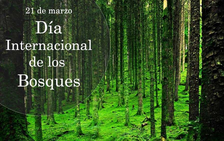 iveleisi's tweet photo. #JuntarYVencer #MejorEsPosible #LatirAvileño #Chambas https://t.co/qEnJ066i7V