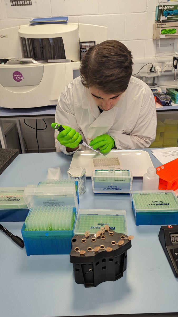 *Attenborough voice*

And here, a PhD student spotted amongst the wet laboratory equipment. 

His fluorescent gloves signalling to others his competence and his focus fixed on not-messing-up-the-plate...

#PhD #phdlife