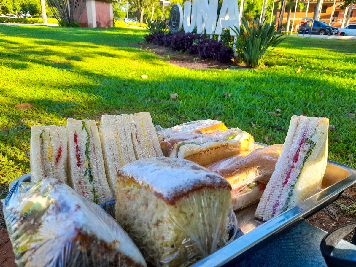 gabypenha_'s tweet image. Le hice sesión de fotos a mis sandwichitos 🫶🏼🥺
Y aprovechando el tweet, si sos estudiante de la UNA yo te llevo hasta tu clase! Si me ven recorriendo COMPREN para pasar el semestre 😉 
Rt a mis sandwichitos :)