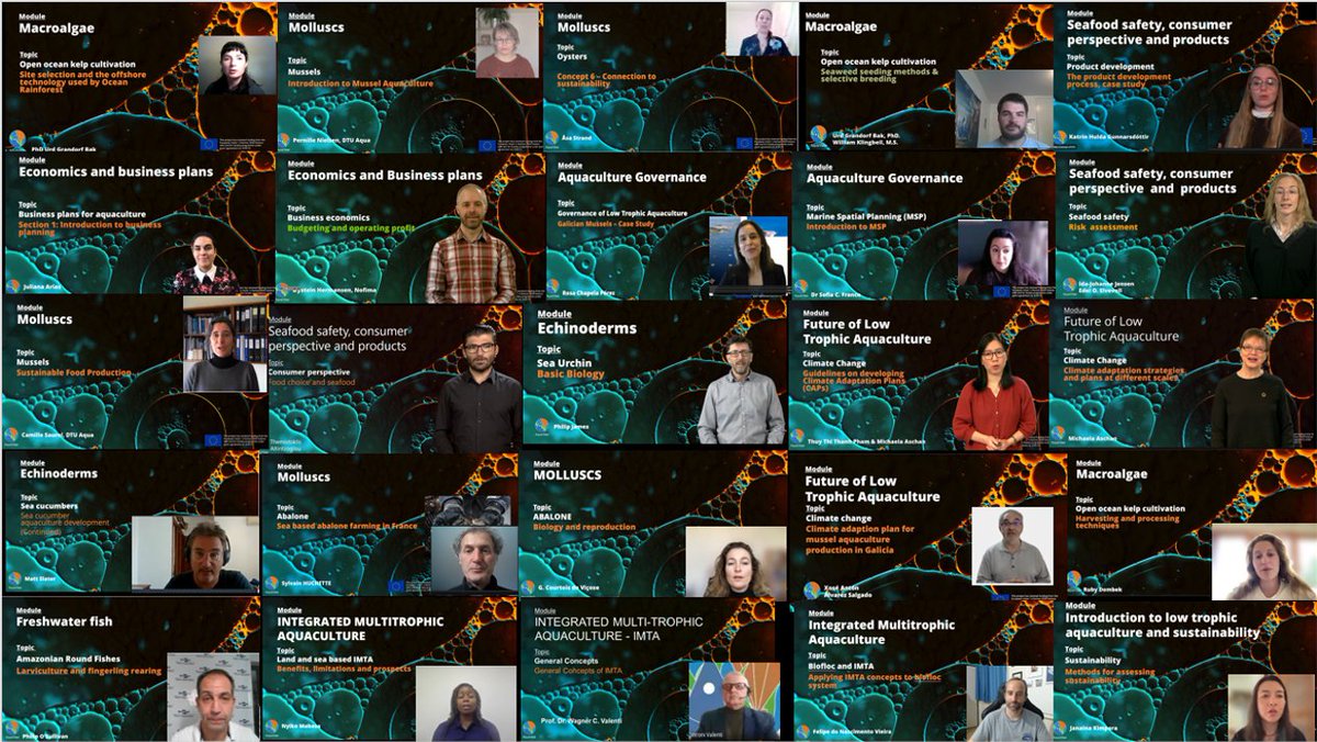 AquaVitae tweet media