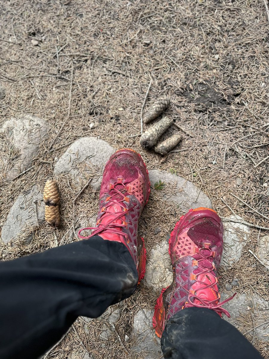 chiarab70's tweet photo. E niente.
Primo giorno di primavera
Prime scarpe inzaccherate della stagione
Lo scoiattolo mi ha attraversato la strada
Le pause pranzo Bon Ton della Signorina ChicCOSA(?!?)
Bene così
#PausePranzo #Primavera https://t.co/aQOVs0P224