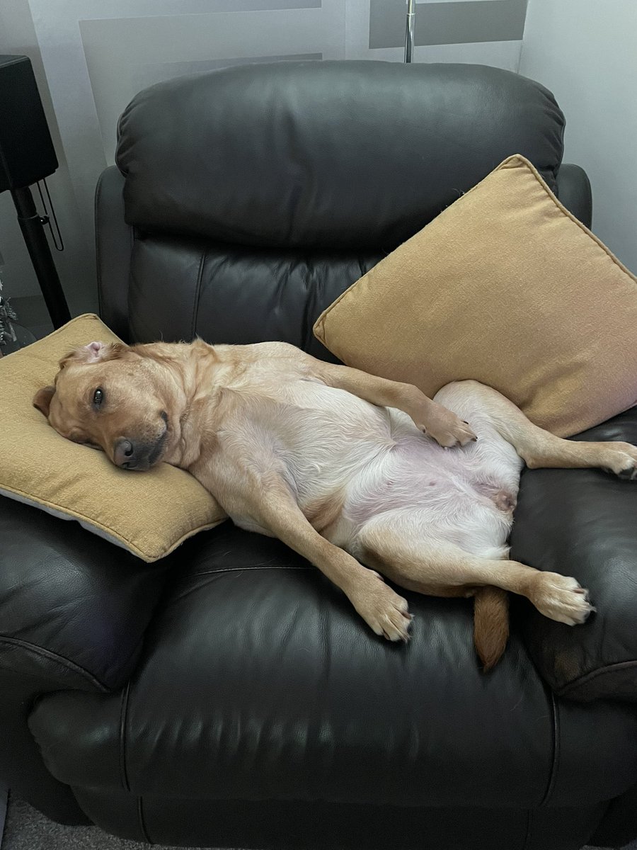 🌈🦋🍒 tweet media