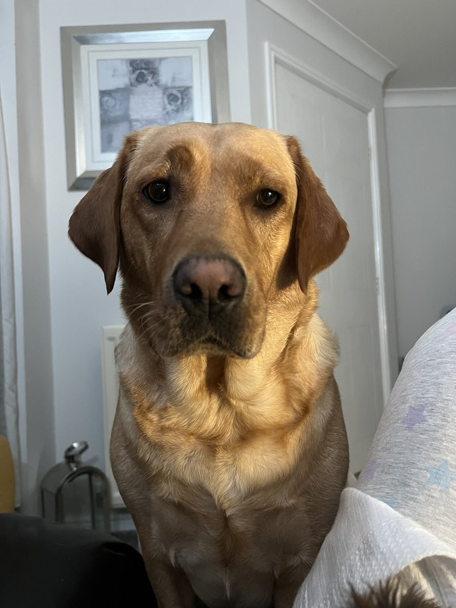 🌈🦋🍒 tweet media