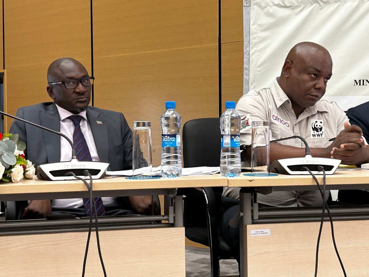 WWF Zambia tweet media