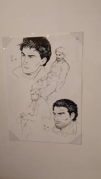 撮ったのはこれだけ レア・カットだと考えられる 