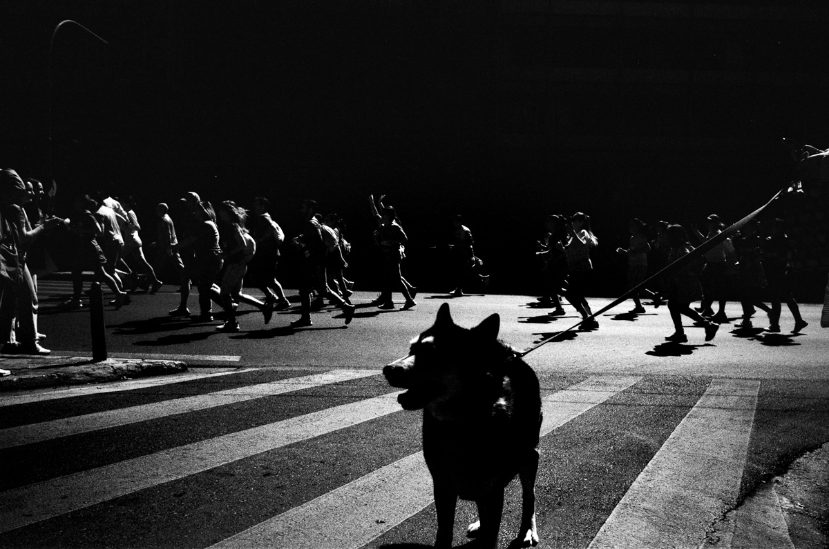 thodorismarkou's tweet photo. Athens half-marathon on Infrared Film:

https://t.co/5MUKOvQMA6

#filmphotography #ContaxG2 #Athens #Greece #Marathon https://t.co/lCalLw6yF4