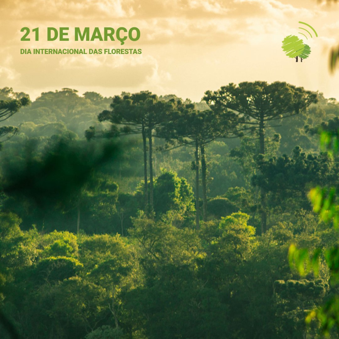 deolhonocodigo's tweet image. As florestas são fundamentais na manutenção do clima, no ciclo e qualidade da água, na produção sustentável de alimentos e na prevenção da erosão do solo, como em casos de deslizamentos de terra. O cumprimento do #CódigoFlorestal é uma das melhores formas de preservá-las de pé!