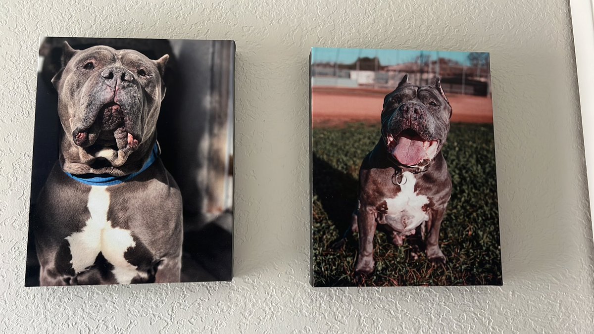 Archie Saquilabon tweet media