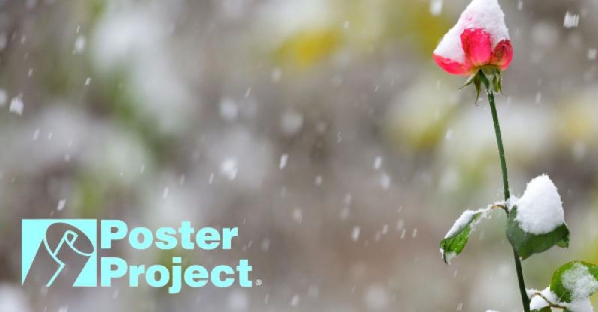 SyrPosterProj's tweet photo. Finally Spring! https://t.co/P1joulnNVX
https://t.co/dwGL33JW96 https://t.co/8DmPNyedGz