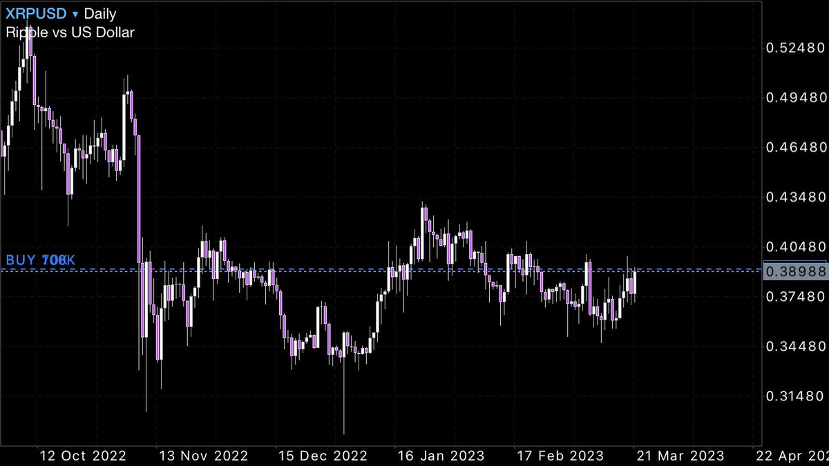 フラミンゴ tweet media