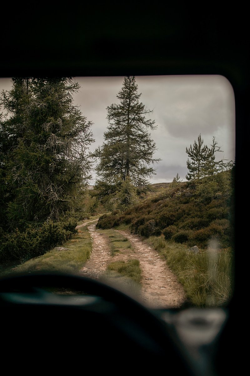 Nature adventures at Gairnshiel Lodge 🍃
Photos by Fran Mart

Shop our issue nº18 📖

openhouse-magazine.com/shop/product/i…