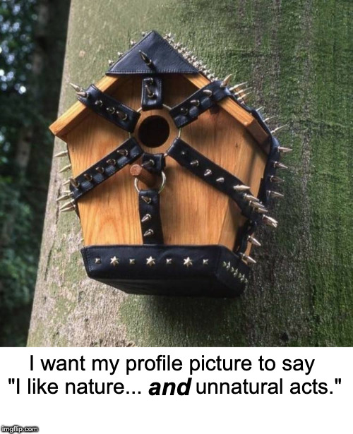 PDX BDSM (@pdxbdsm) on Twitter photo 