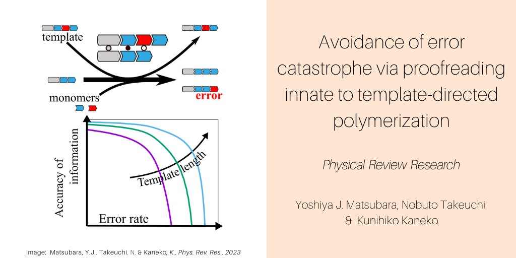 👏🏽 Congratulations to <a href="/YJMatsubara/">Yoshiya Matsubara (松原 嘉哉)</a>, Nobuto Takeuchi &amp; Kunihiko Kaneko for their latest <a href="/PhysRevResearch/">Physical Review Research</a> paper:

📰 "Avoidance of error catastrophe via proofreading innate to template-directed polymerization"

💻 journals.aps.org/prresearch/abs…