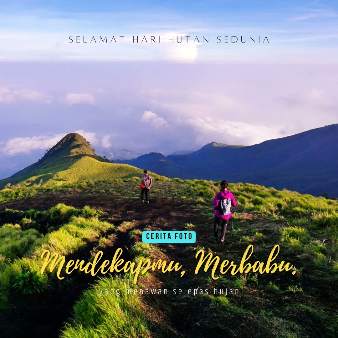 papan_pelangi's tweet photo. Catatan kecil dari pendakian Gunung Merbabu 18-19 Maret kemarin. Sekaligus turut memperingati Hari Hutan Sedunia 21 Maret 2023.
Mendekapmu, Merbabu: Yang Menawan Selepas Hujan
#merbabu #suwanting https://t.co/jJtvqsnrBA