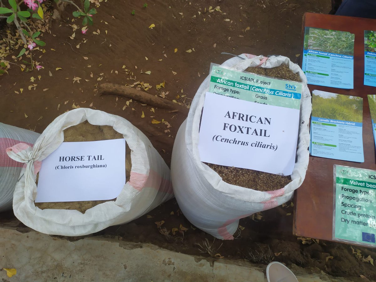 kalromkulima's tweet photo. Farmers being trained on  Grass seeds and legumes seeds suitable for Arid and Semi arid areas at the ongoing KALRO Arid and Rangeland Research Institute in Kiboko,Makueni county #OpenWeekExhibition #KALRO@10 https://t.co/jC5l6JjlbD