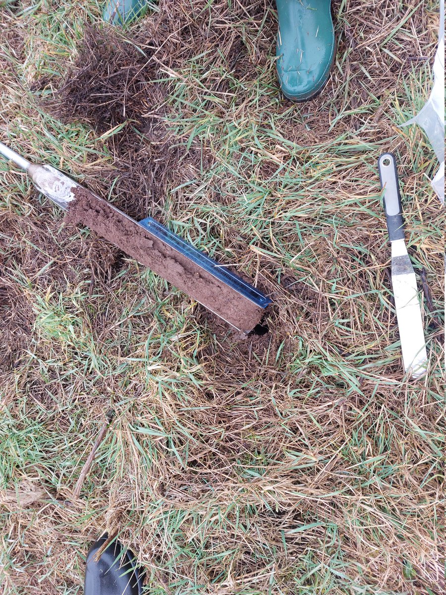 Dr Ian Pattison tweet media