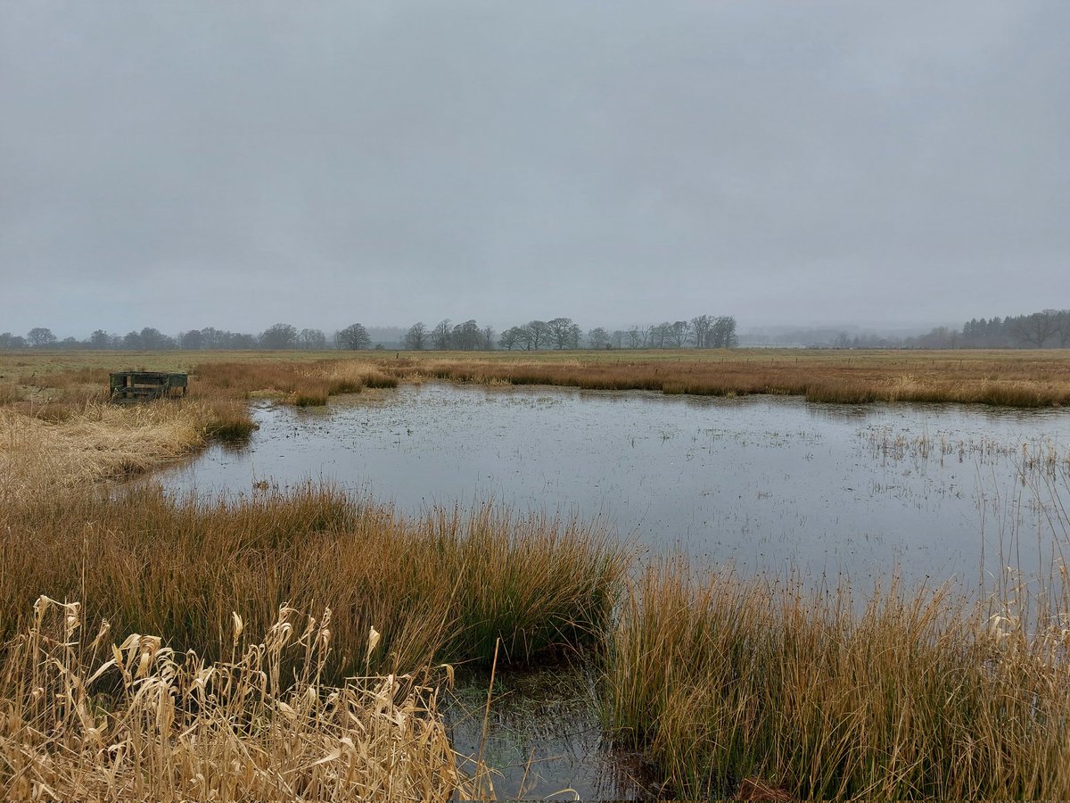 Dr Ian Pattison tweet media