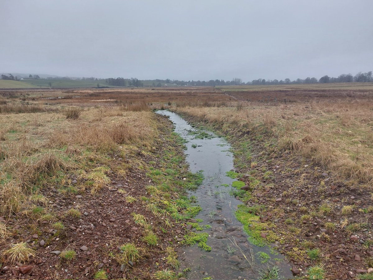 Dr Ian Pattison tweet media