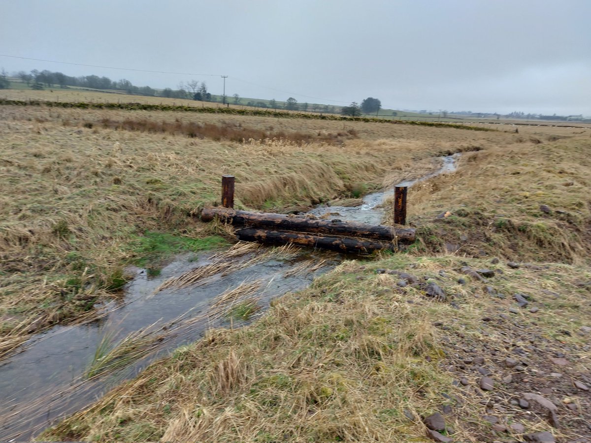 Dr Ian Pattison (@gowiththef1ow) on Twitter photo Day out exploring the Allan Water #catchment and Nature Based Solutions for #flood and #biodiversity benefits for @mstetkiewicz <a href="/IapetusDTP/">IAPETUS DTP</a> PhD research. #NbS #NFM Day out exploring the Allan Water #catchment and Nature Based Solutions for #flood and #biodiversity benefits for @mstetkiewicz <a href="/IapetusDTP/">IAPETUS DTP</a> PhD research. #NbS #NFM