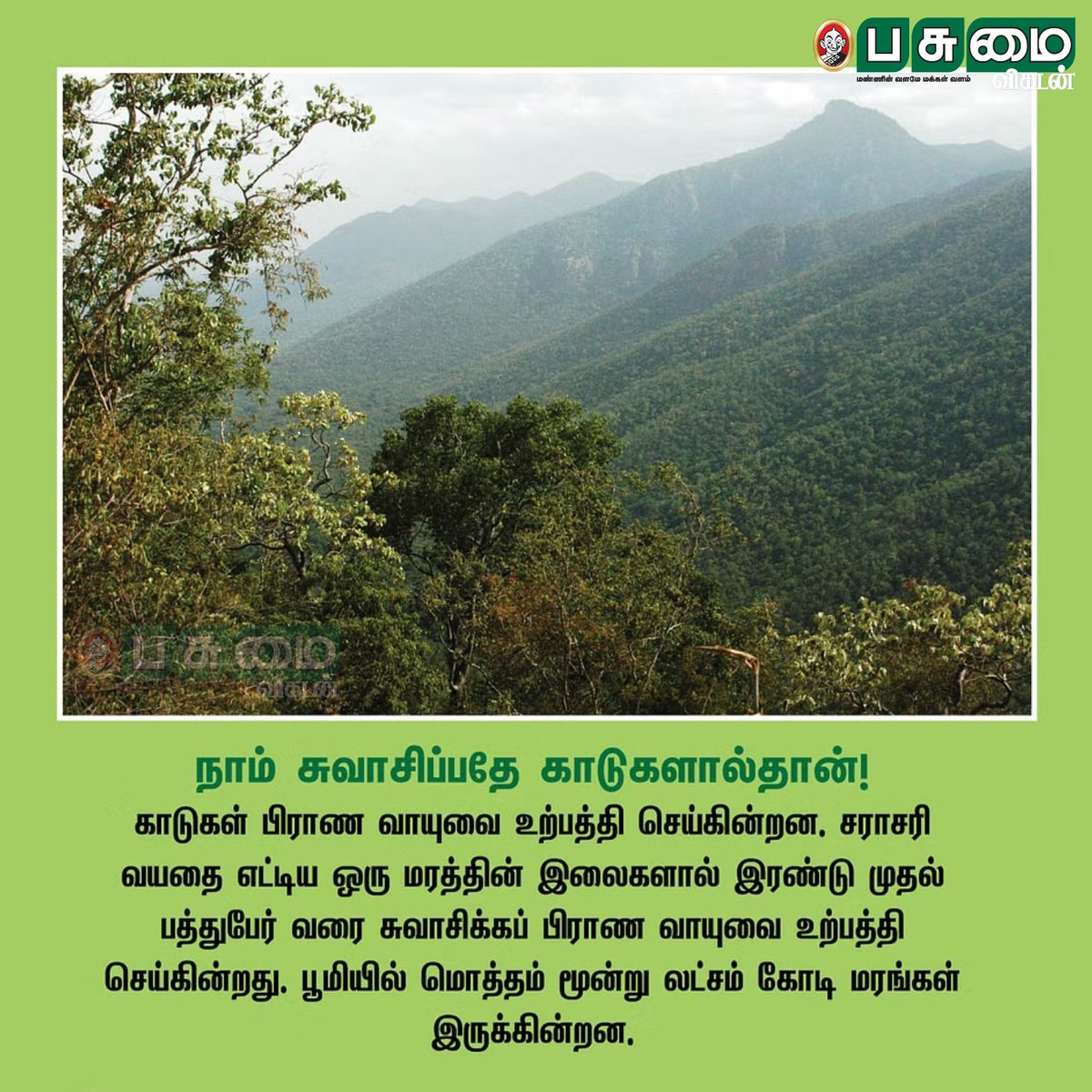 PasumaiVikatan's tweet photo. உலக காடுகள் தினம்!
காடு மனிதனுக்கு என்ன செய்தது!

#InternationalDayofForests #InternationalForestDay #Forest #Human #People #Trees #Water #EnvironmentDisaster https://t.co/1xGC5eENaF